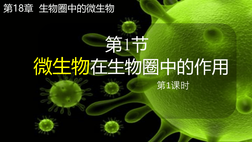 5.18.1 微生物在生物圈中的作用 课件(共71张PPT)2023年秋北师大版生物八年级上册