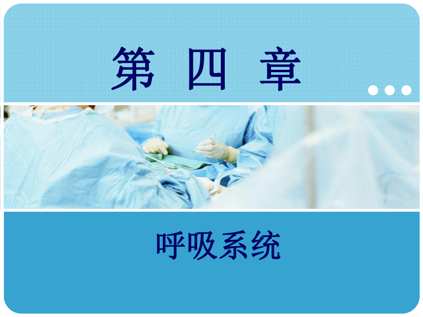 4.3胸膜 课件(共12张PPT)-《解剖学基础》同步教学（江苏大学出版社）