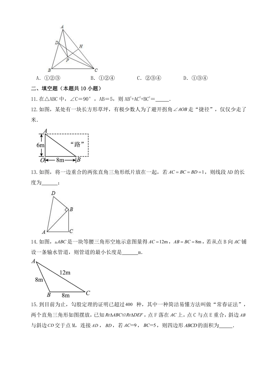 第3章勾股定理 单元同步提优练习（无答案） 2023-2024学年苏科版数学八年级上册