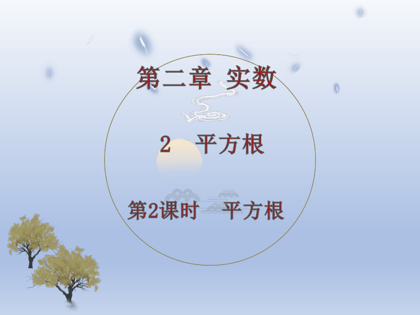 北师大版数学八年级上册2.2平方根 课件(共23张PPT)