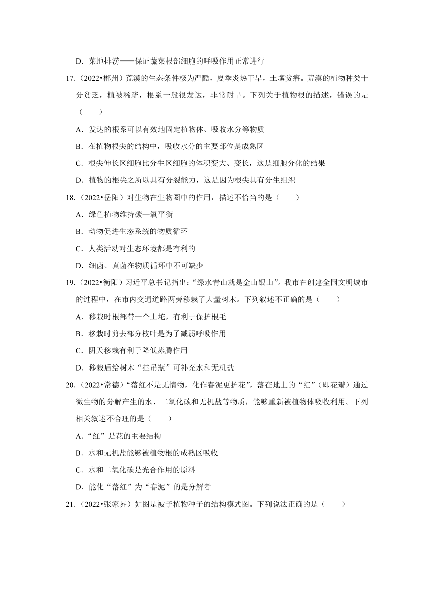 专题3绿色植物——2022-2023年湖南省中考生物试题分类（含解析）