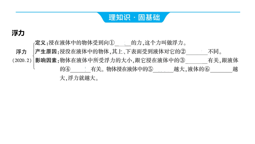 2024河南中考物理一轮复习考点精讲精练第16讲 浮力课件（52张PPT)