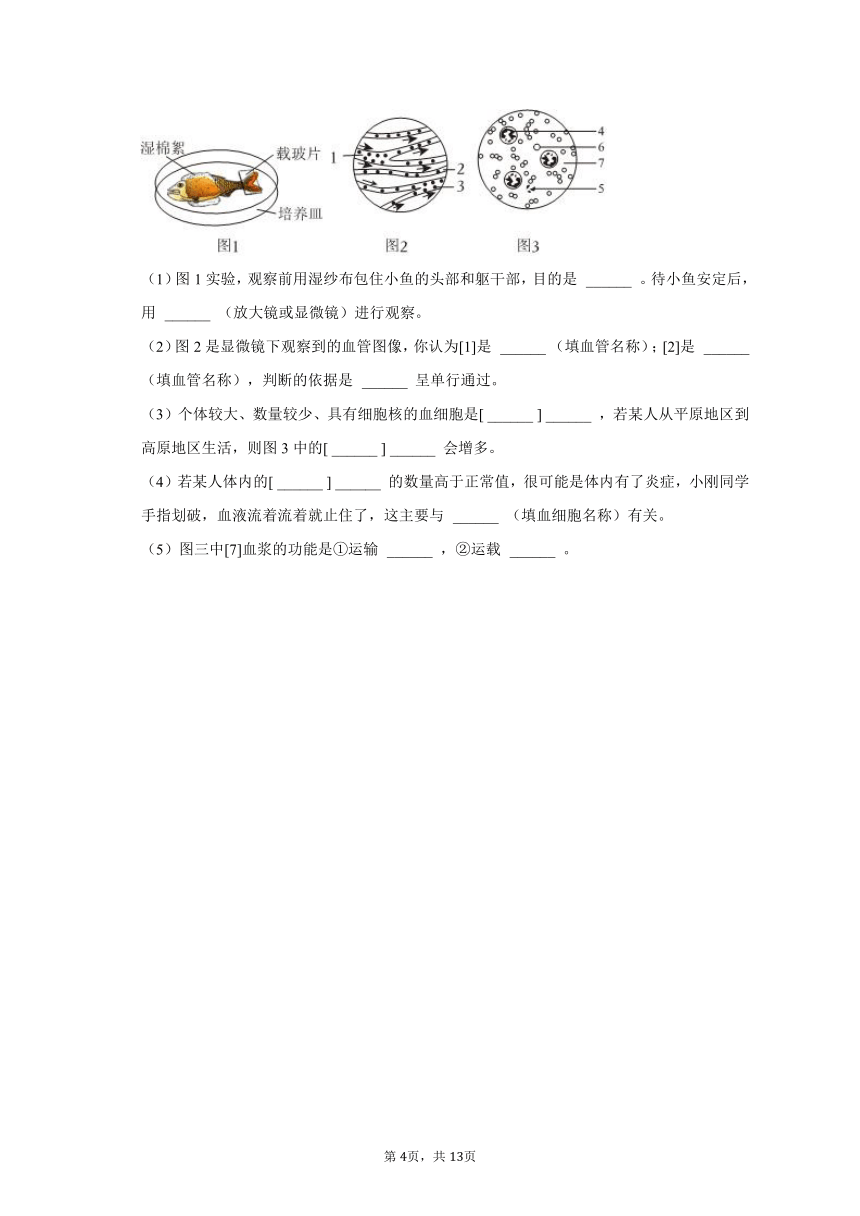 2022-2023学年辽宁省铁岭市部分学校七年级（下）期中生物试卷（含解析）