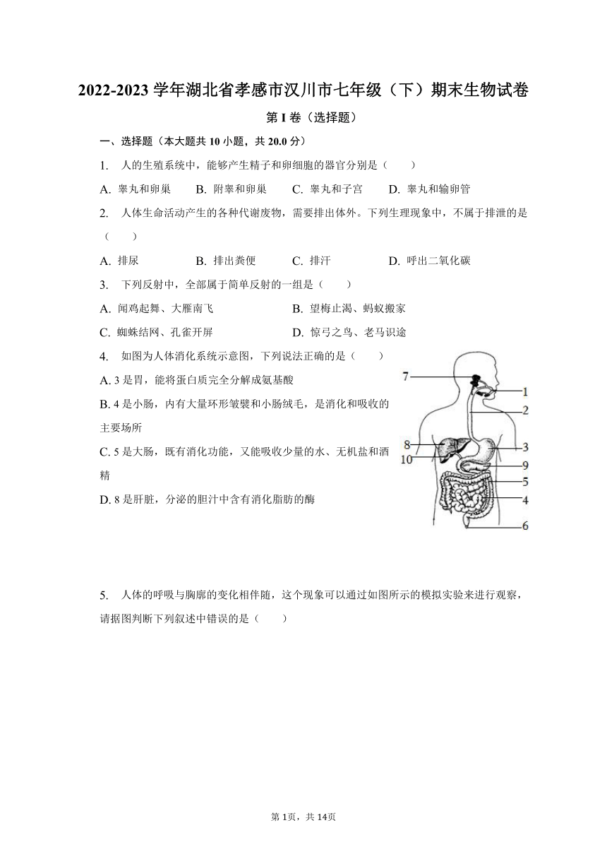 2022-2023学年湖北省孝感市汉川市七年级（下）期末生物试卷（含解析）