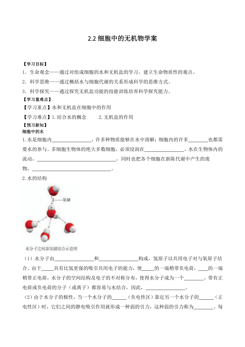 2.2细胞中的无机物学案（含答案）