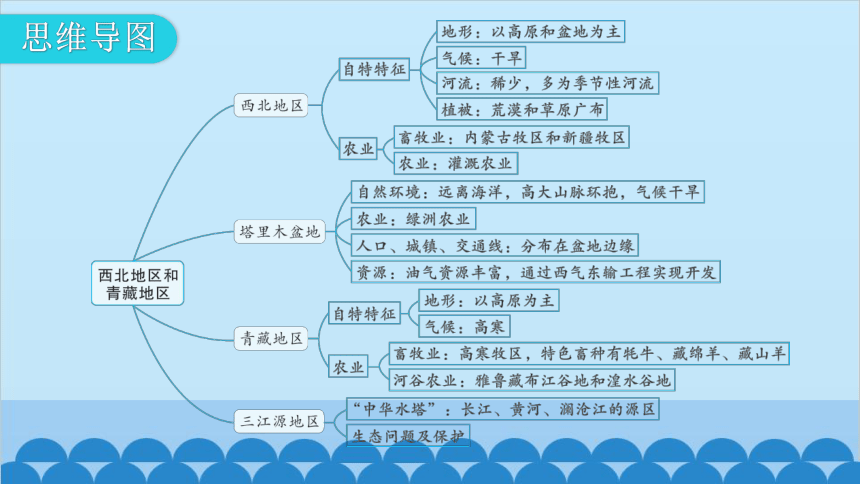 2024年中考地理一轮复习 专题十八 西北地区和青藏地区 习题课件(共71张PPT)