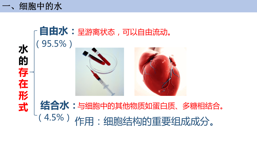 2.2 细胞中的无机物课件(共33张PPT1份视频)-高一生物课件（人教版2019必修1）