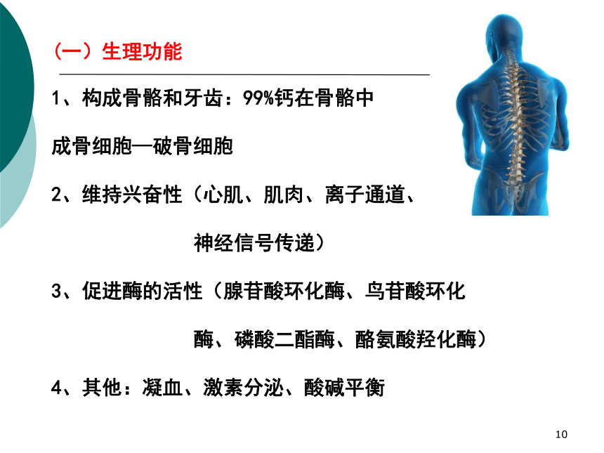 1营养学基础-8矿物质 课件(共34张PPT)- 《营养与食品卫生学》同步教学（人卫版·第7版）