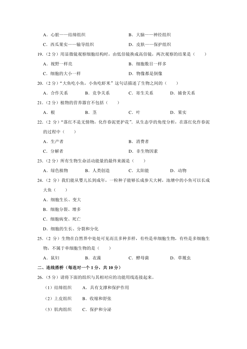 2023-2024学年黑龙江省齐齐哈尔市龙江县七年级（上）期中生物试卷（含解析）