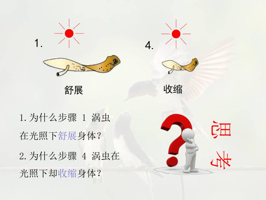 16.1 先天性行为和后天学习行为-【生物讲堂】2023-2024学年八年级生物上册同步备课课件（北师大版）(共29张PPT)