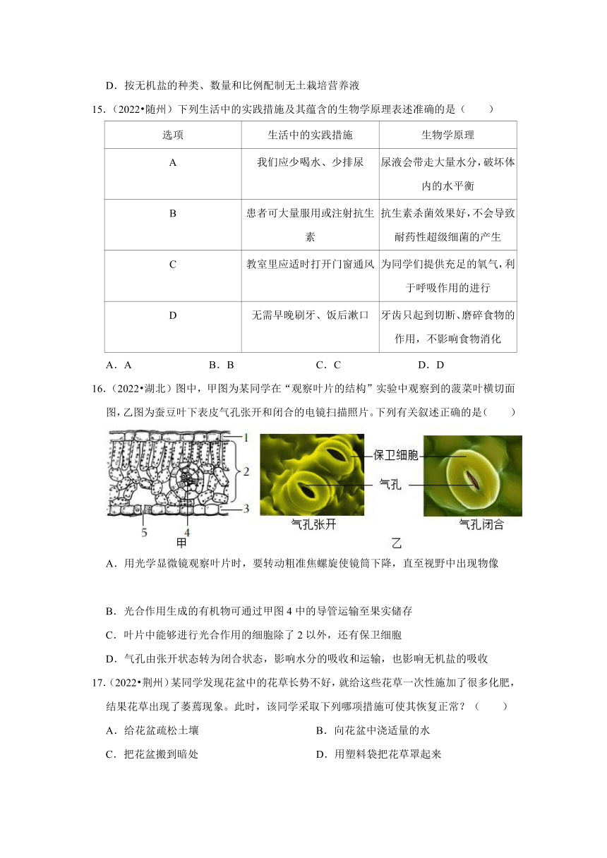 专题3绿色植物——2022-2023年湖北省中考生物试题分类（word版+解析版）