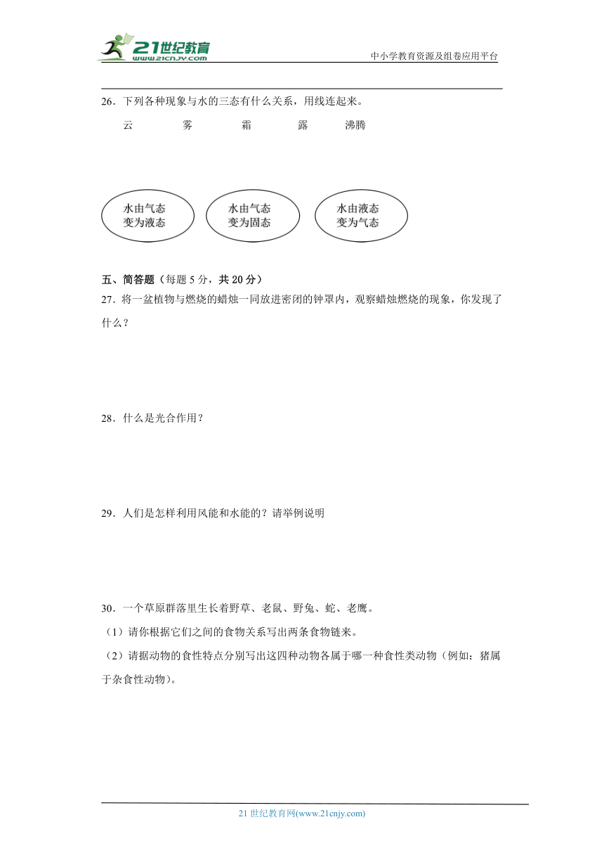 人教鄂教版六年级上册科学期末综合试题（含答案）