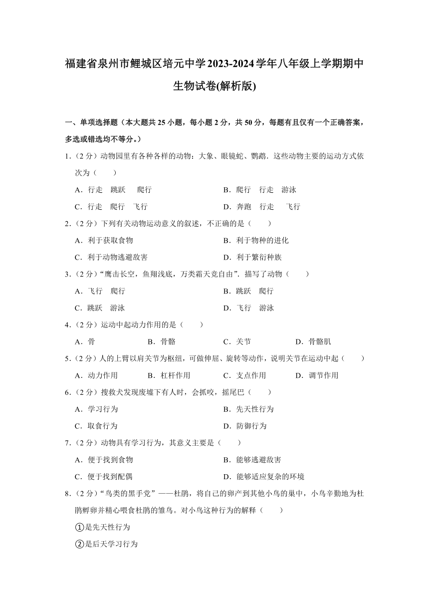 福建省泉州市鲤城区培元中学2023-2024学年八年级上学期期中生物试卷（含解析）