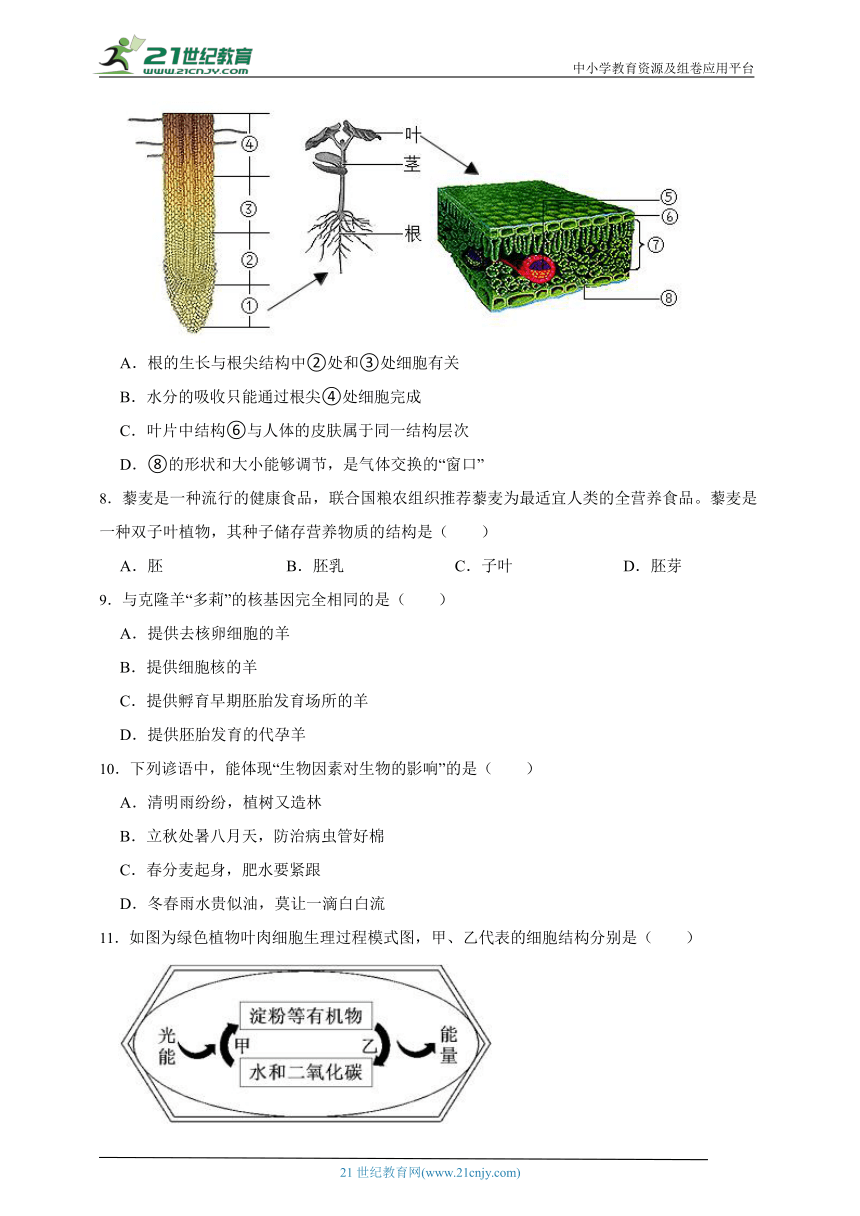 2023年秋期北师大版生物七年级期末测试题2（含解析）