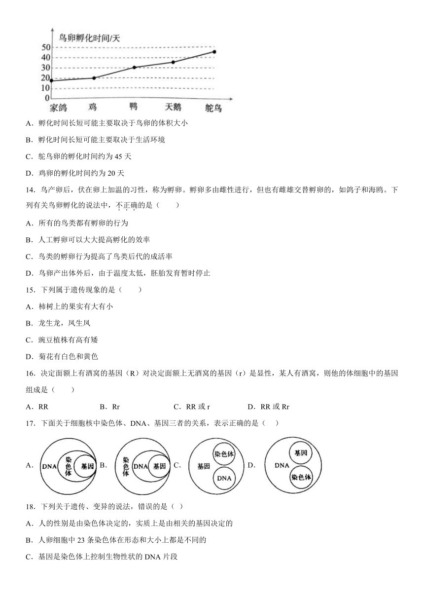 河南省周口市沈丘县中英文学校等校2023-2024学年八年级12月月考生物试题（含解析）