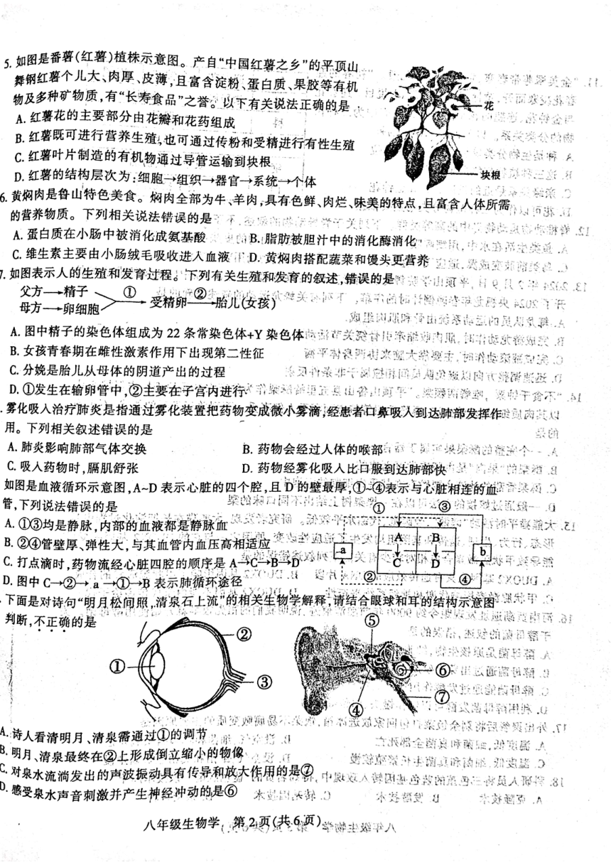 2024年河南省平顶山市中招学科第一次调研试卷八年级生物（PDF版无答案）