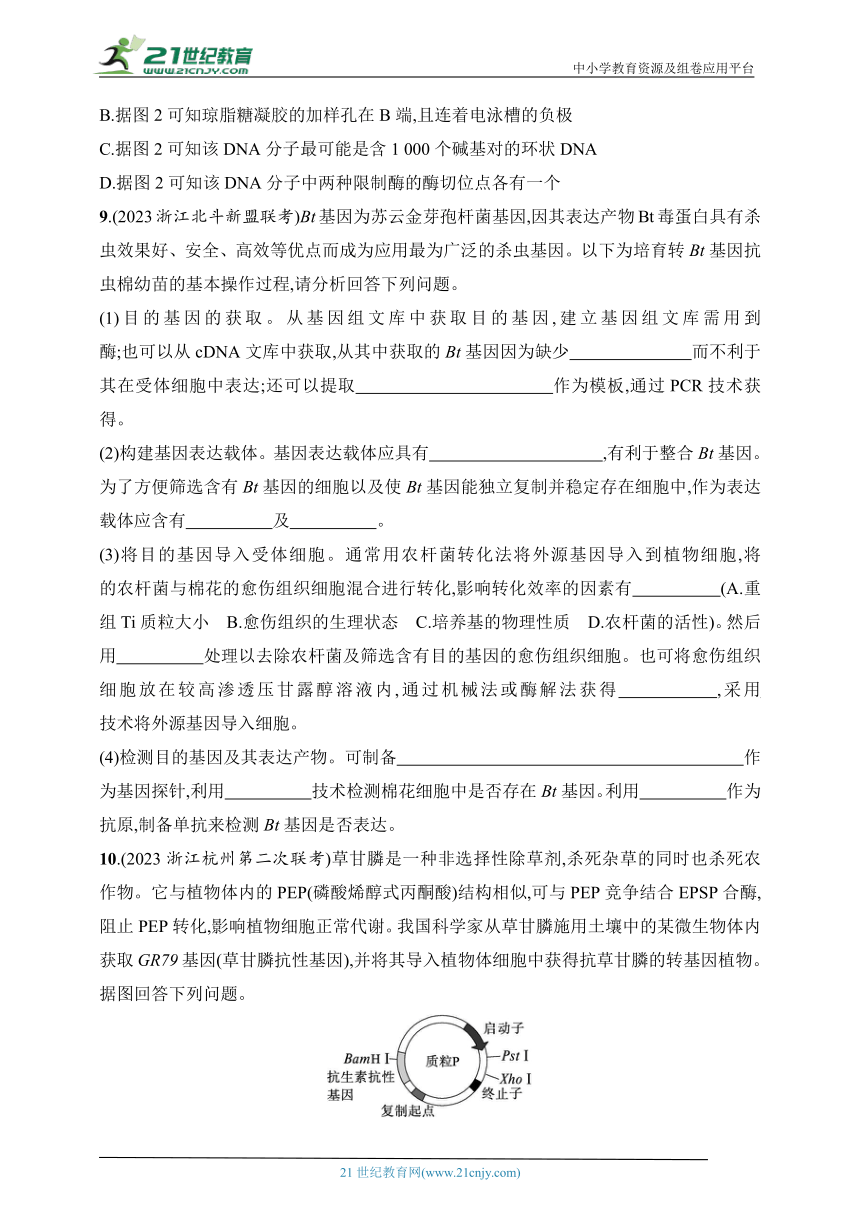 2025浙科版新教材生物学高考第一轮基础练--作业58　基因工程的原理和技术（含解析）