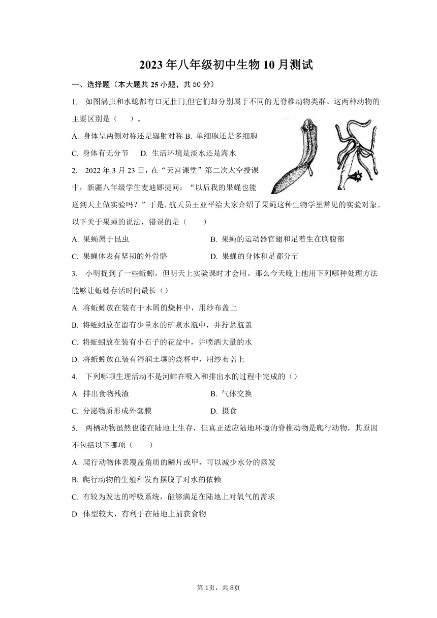 山东省东营市丁庄中心初中2023-2024学年八年级上学期10月月考生物试题（PDF版无答案）