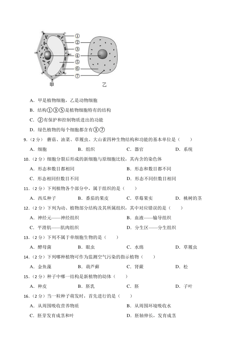 甘肃省武威市凉州区西营片联考2023-2024学年七年级上学期期末生物试题（含答案）