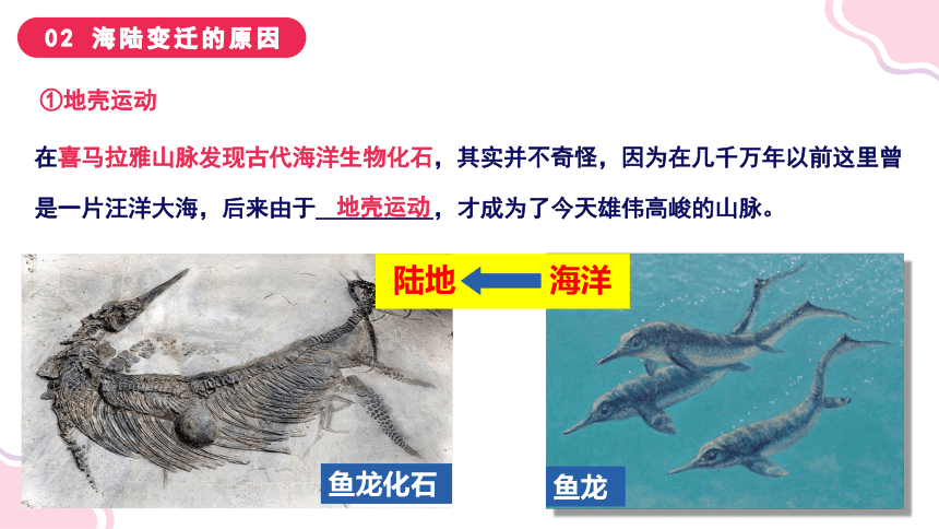 3.2 海陆变迁（课件）-2023-2024学年七年级地理上册同步精品课堂（晋教版）(共58张PPT)