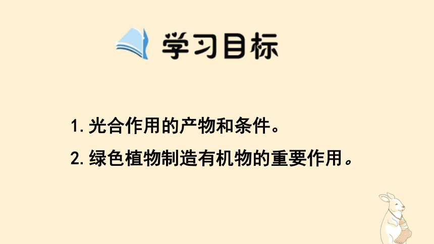 3.4绿色植物是生物圈中有机物的制造者 课件(共24张PPT)2022-2023学年人教版生物七年级上册