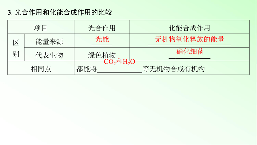 新教材生物一轮复习课件：第3单元 细胞的能量供应和利用 第5讲　光合作用的原理及影响因素(共100张PPT)