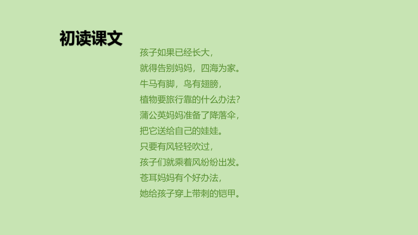 3 植物妈妈有办法 课件(共20张PPT)