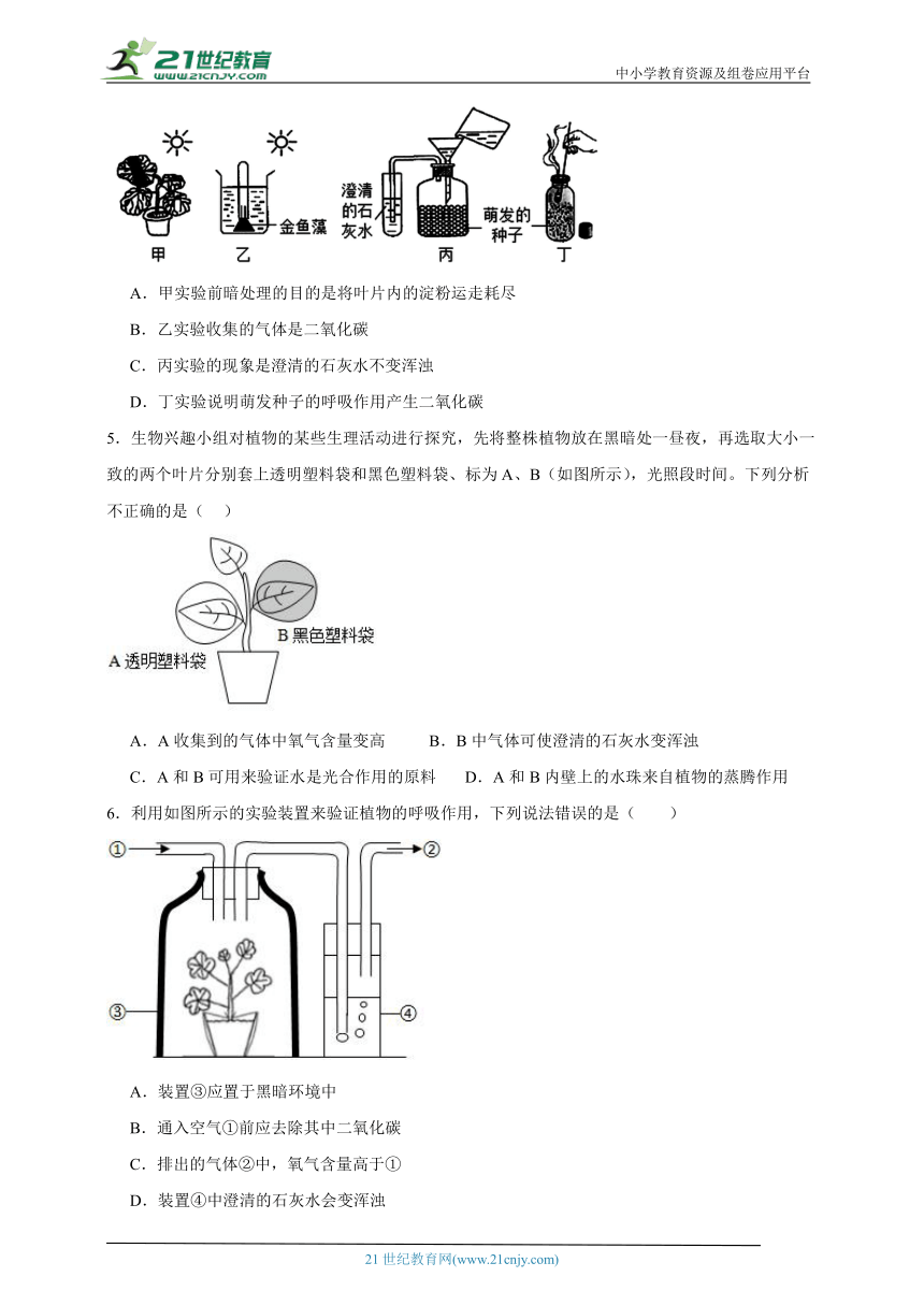 2023-2024学年初中生物济南版七年级上册期末复习专题9——绿色植物的呼吸作用（含解析）