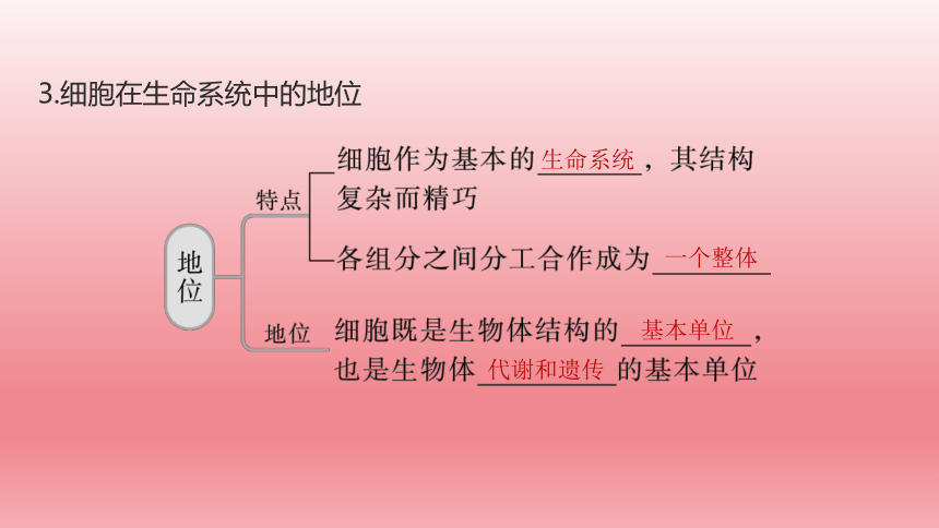 2024届高考生物学一轮复习专题课件细胞核的结构和功能(共63张PPT)