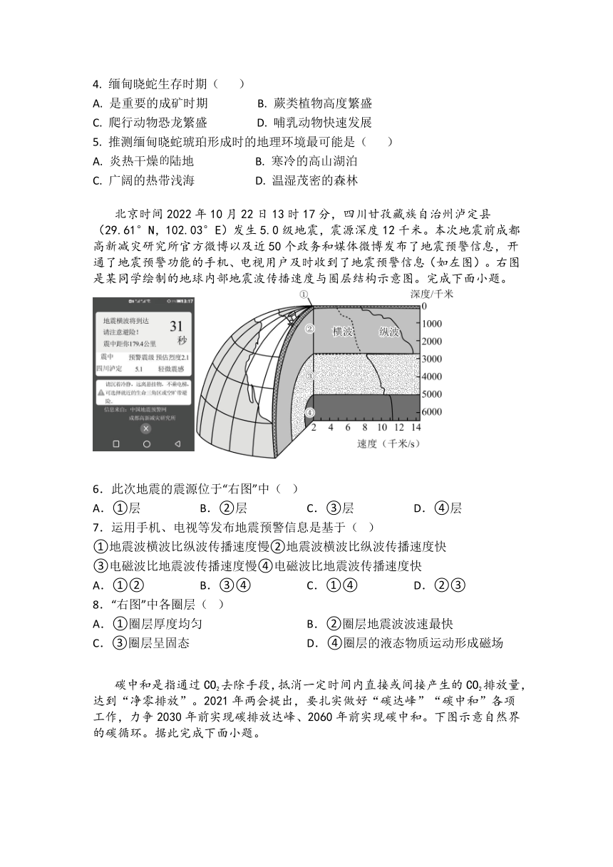 安徽省无为襄安高级中学2023-2024学年高一上学期11月期中考试地理试题（含答案）