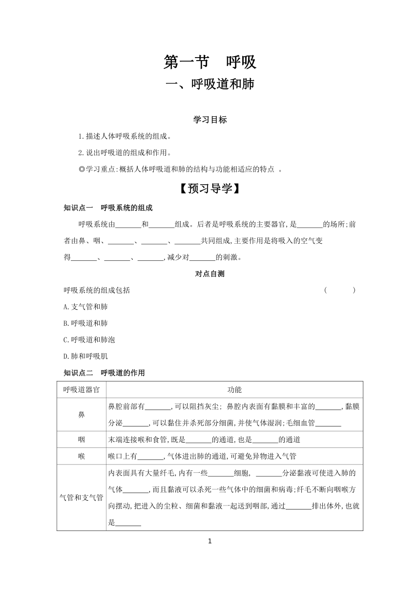 2.3.1 呼吸(一、呼吸道和肺） 学案（含答案） 2023-2024学年生物冀少版 七年级下册