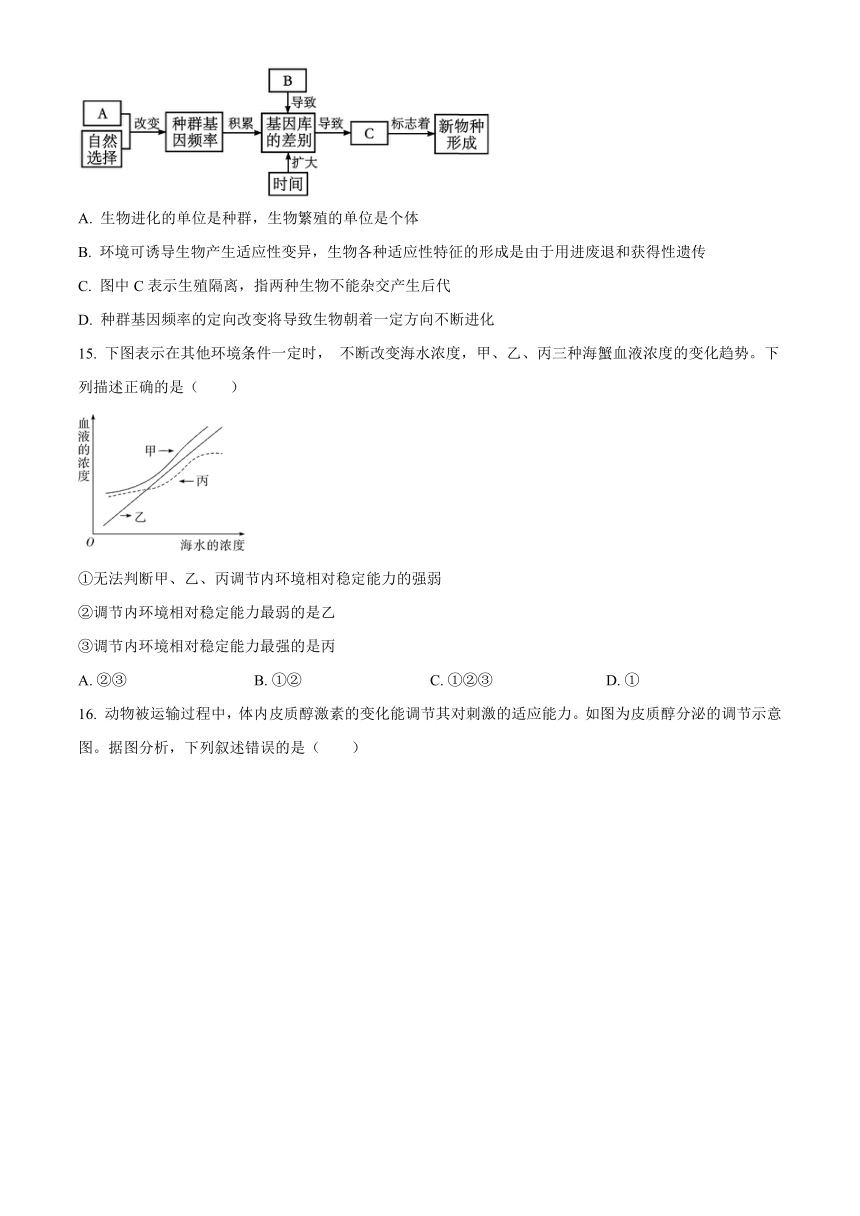 四川省德阳市什邡名校2023-2024学年高二上学期11月期中考试生物（解析版）