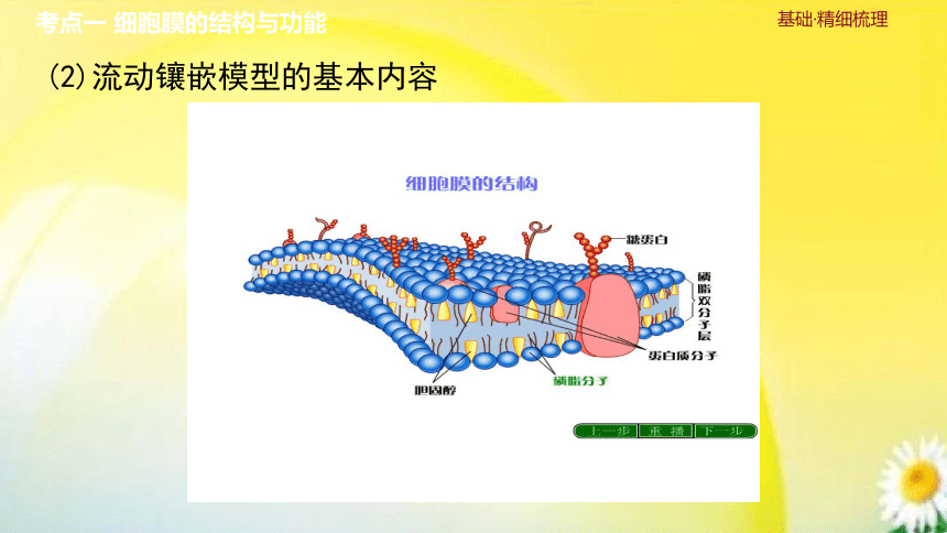 高三生物总复习课件-必修1 分子与细胞：第4讲　细胞膜与细胞核(共34张PPT)