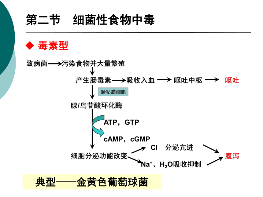 12食源性疾病及其预防-1 课件(共59张PPT)- 《营养与食品卫生学》同步教学（人卫版·第7版）