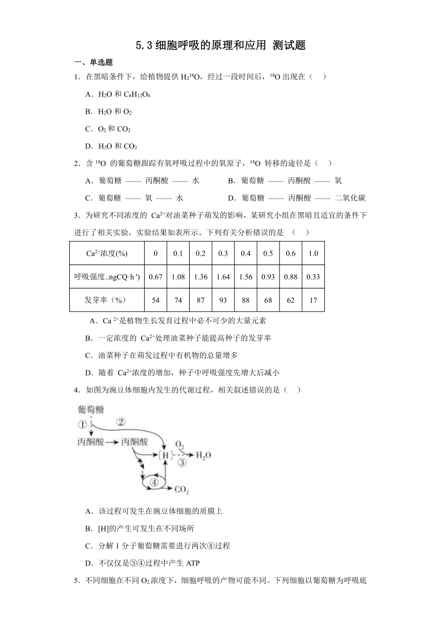 5.3细胞呼吸的原理和应用测试题（含解析）2023-2024学年高中生物学人教版（2019）必修1