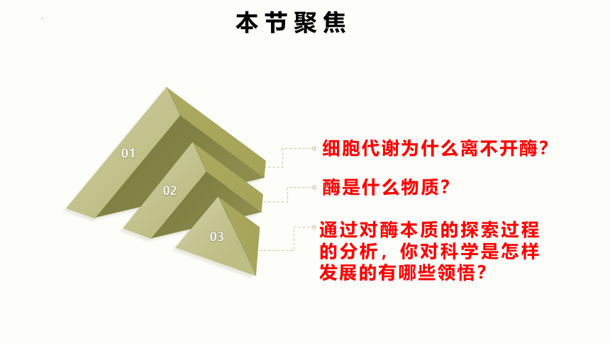 5.1 降低化学反应活化能的酶（第一课时）课件(共22张PPT)-人教版2019必修1