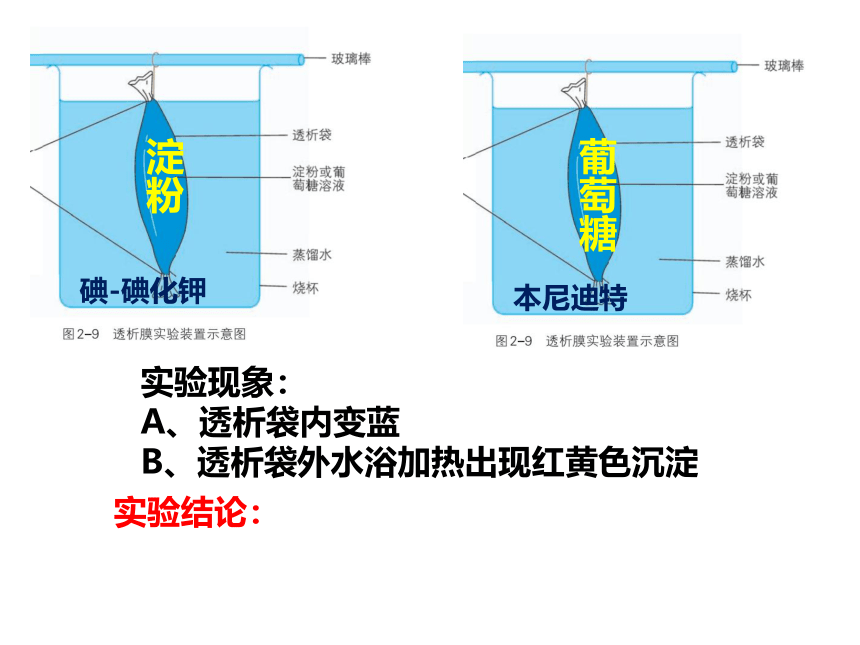 2.2细胞膜控制细胞与周围环境的联系课件(共22张PPT)2023-2024学年高一上学期生物浙科版必修一