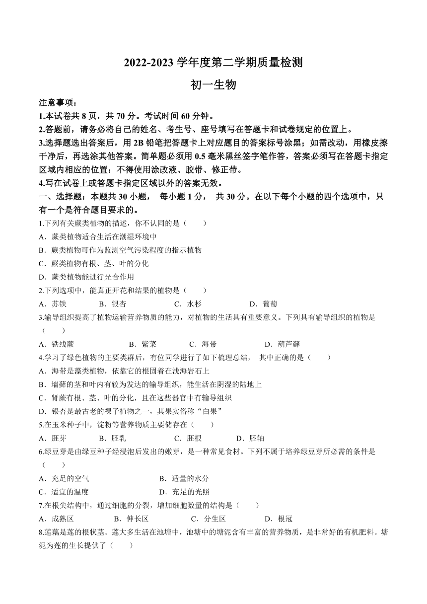 山东省威海市威海经济技术开发区2022-2023学年六年级下学期期末生物试题（含答案）