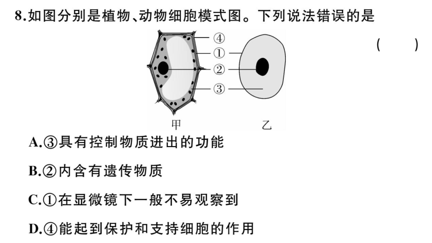 第二单元生物体的结构层次 小结与复习习题课件(共32张PPT)