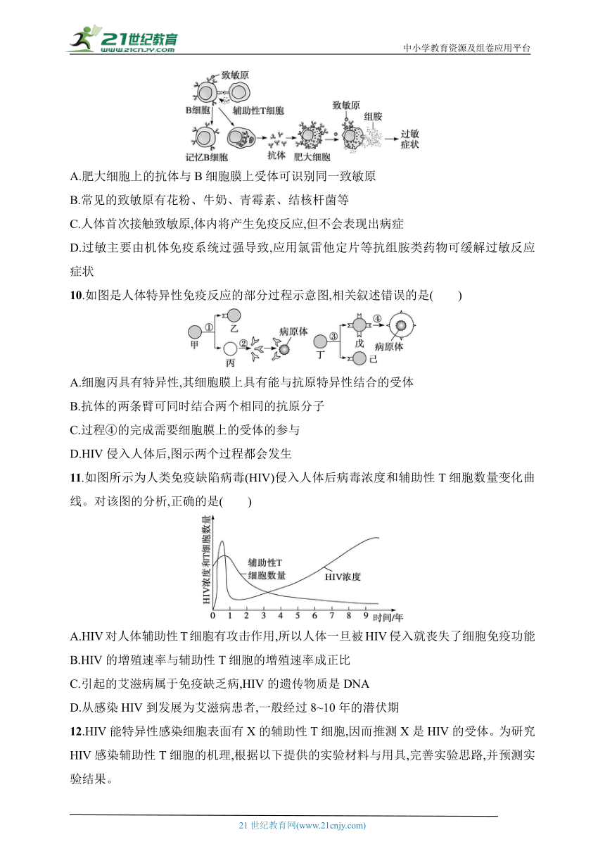 2025浙科版新教材生物学高考第一轮基础练--作业42　免疫功能异常（含解析）