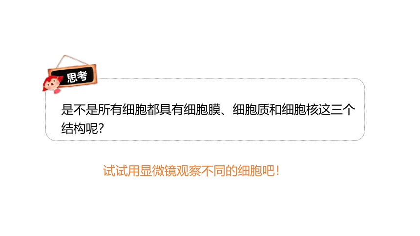 1.2.1细胞的多样性和统一性课件(共36张PPT)-人教版必修1