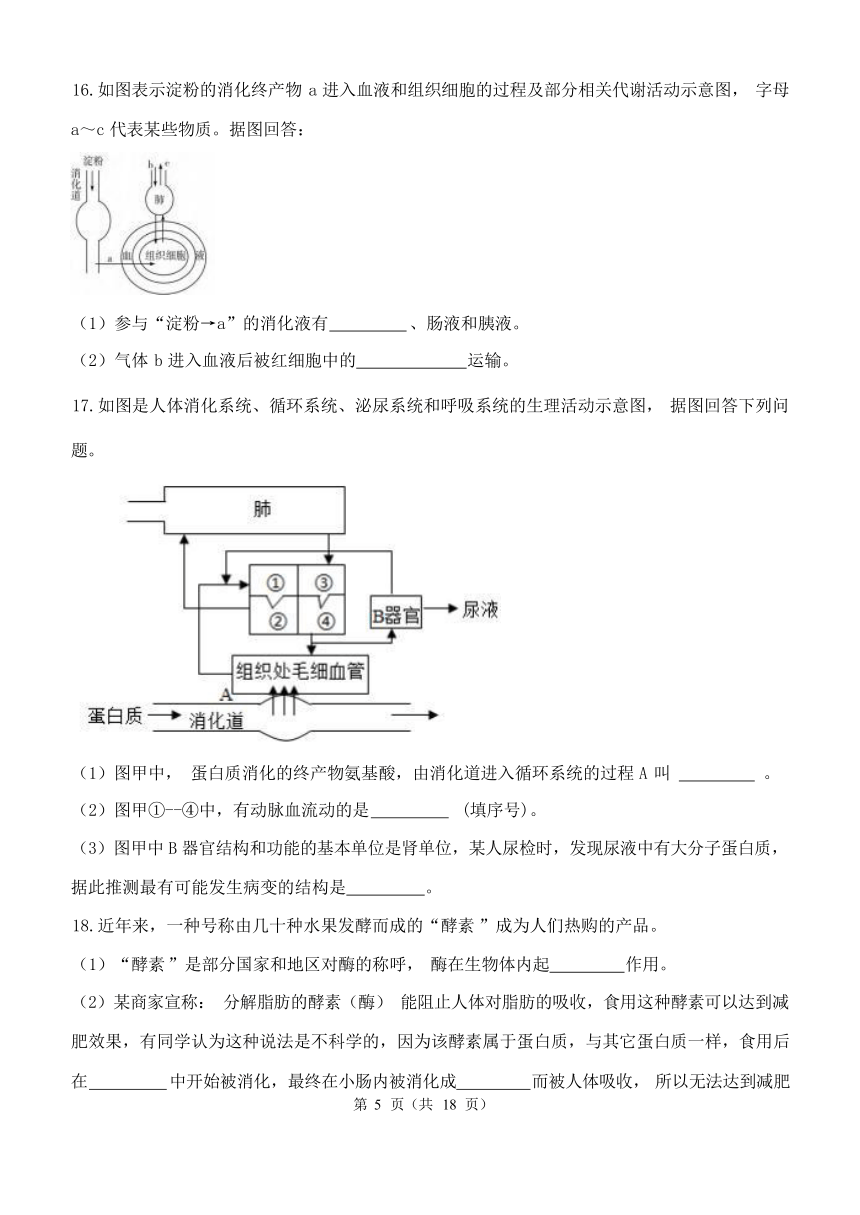 第4章 代谢与平衡 单元测试（含解析）