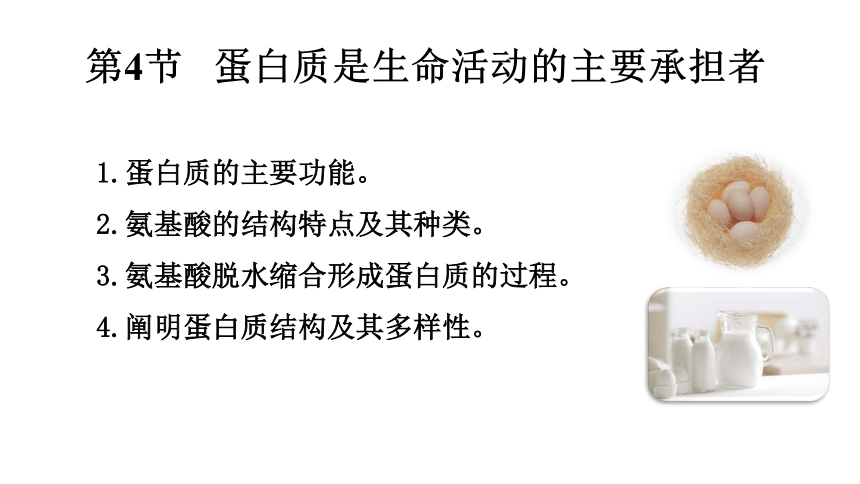 2.4蛋白质是生命活动的主要承担者课件(共30张PPT)-人教版（2019）必修1