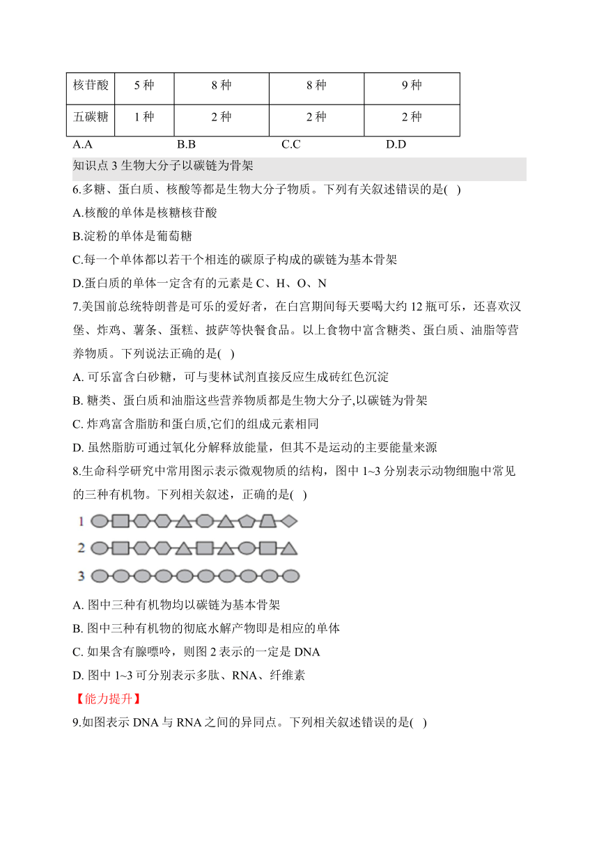 2.5核酸是遗传信息的携带者—2023-2024学年高一生物学人教版（2019）必修一课时分层练（有解析）