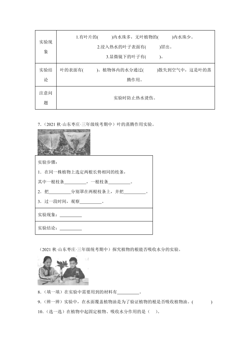 三年级科学上册（青岛版2017） 期中 实验题专题训练（含解析）