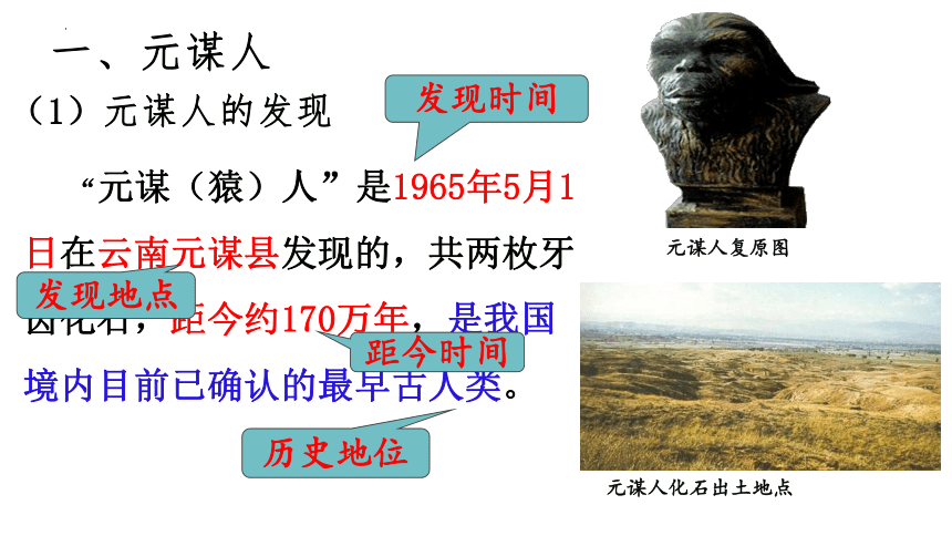 第1课 中国境内早期人类的代表—北京人  课件