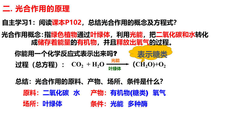 人教版（2019）必修1 第5章 细胞的能量供应和利用复习（第2、3课时）(课件共42张PPT)