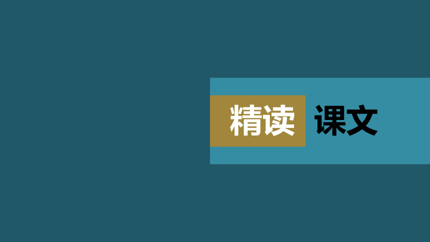 牛津译林版（2019）必修 第二册Unit 4 Exploring literature Extended reading—Reading comprehension课件（共42张PPT）