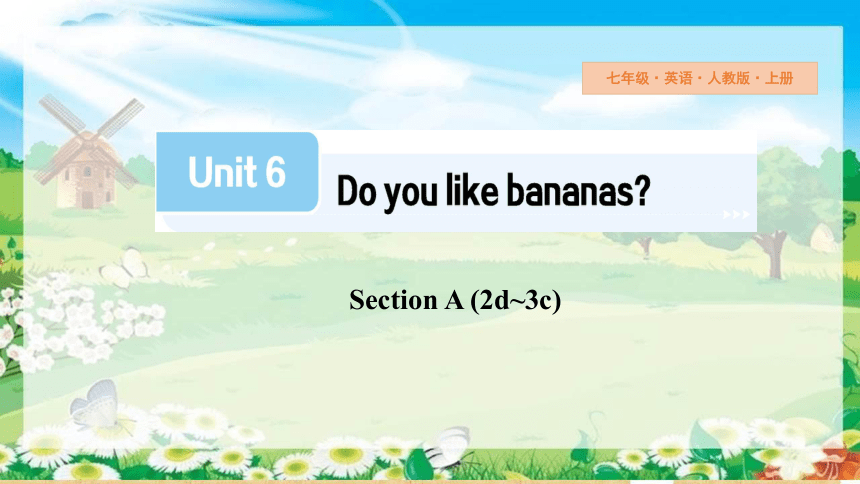 Unit 6 Do you like bananas?Section A (2d-3c)课件 2023-2024学年人教版七年级英语上册 (共31张PPT)