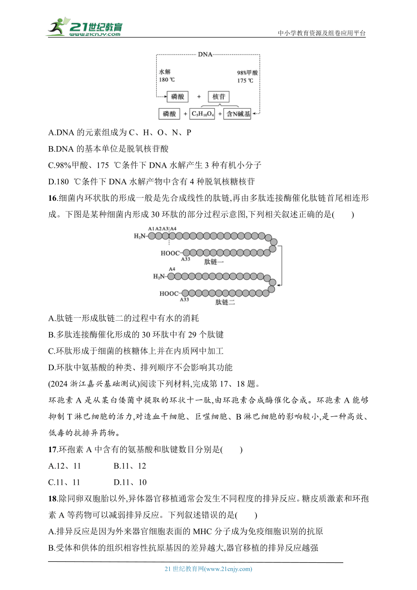 2025浙科版新教材生物学高考第一轮基础练--作业2　蛋白质与核酸（含解析）